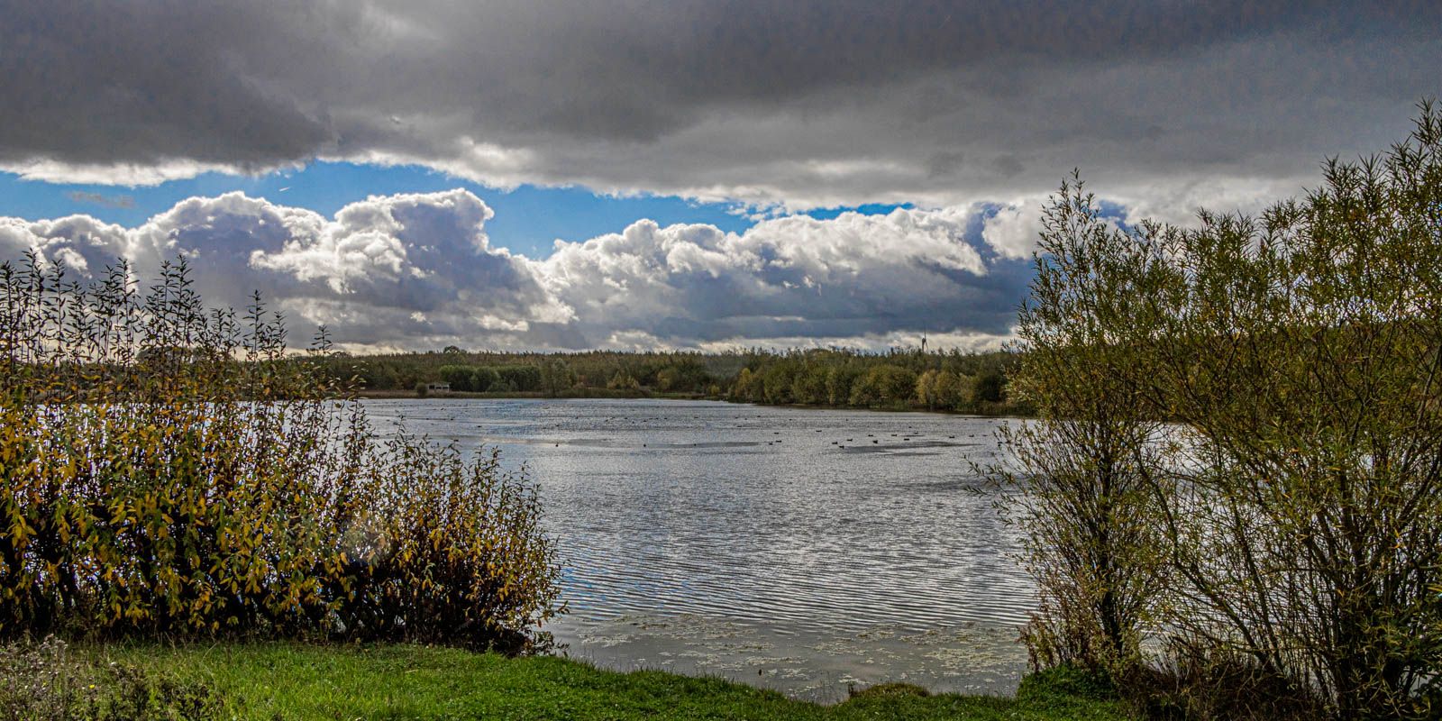 The lake in Jubilee Wood